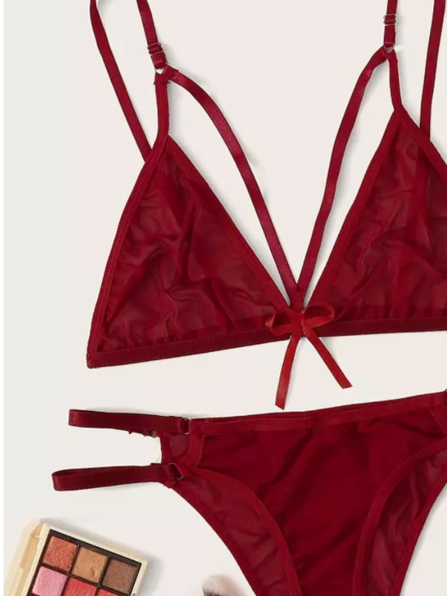 Sajiero Ex Maroon Sexy Transparent Bikini Set