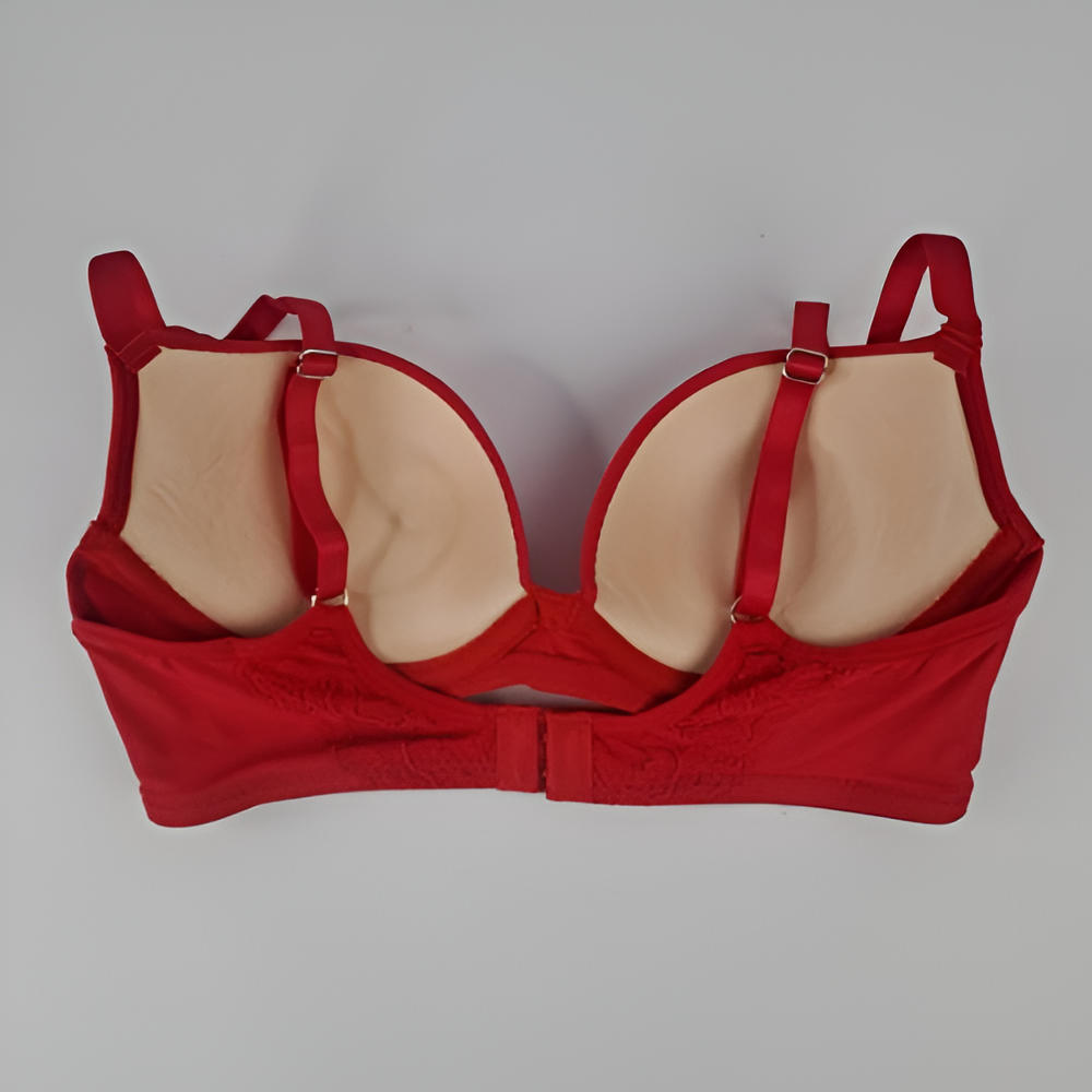 Sajiero Charming Red Embroidered Padded Bra and Panty Set